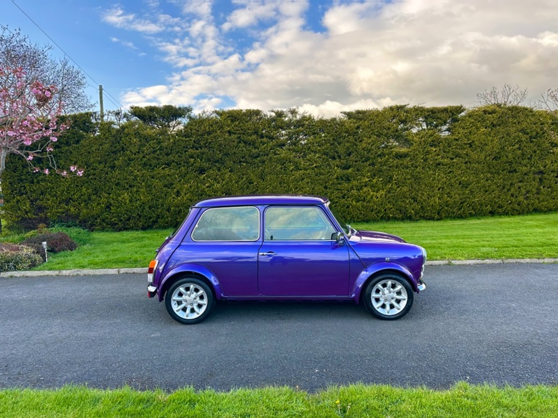 ROVER MINI